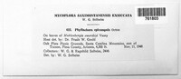 Image Associated With the Occurence